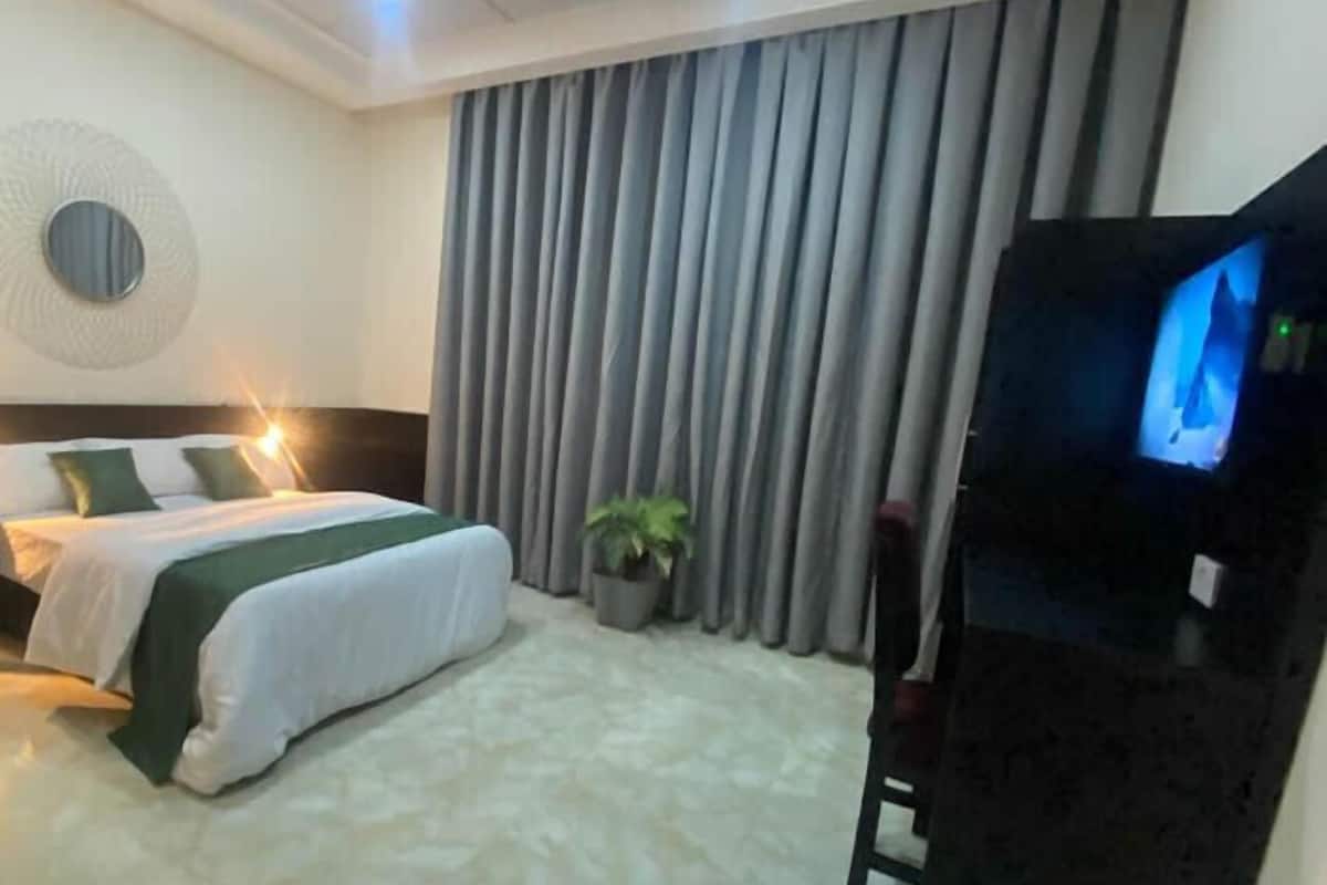 A hotel room with a bed, a television, a potted plant, and a large window with curtains.