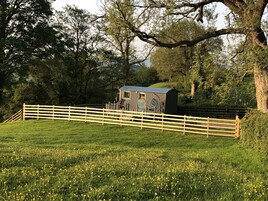 Una pequeña cabaña de madera con techo de metal, rodeada por una valla de madera, ubicada en un campo verde y frondoso con flores amarillas.