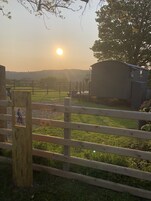 Cabin | Property grounds