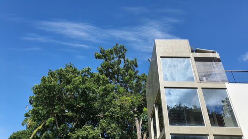 Ultra Modern Luxury Room Located Surrounded by Lush Green Trees