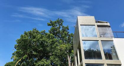 Ultra Modern Luxury Room Located Surrounded by Lush Green Trees