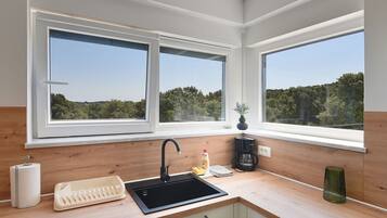Fridge, stovetop, dishwasher, coffee/tea maker