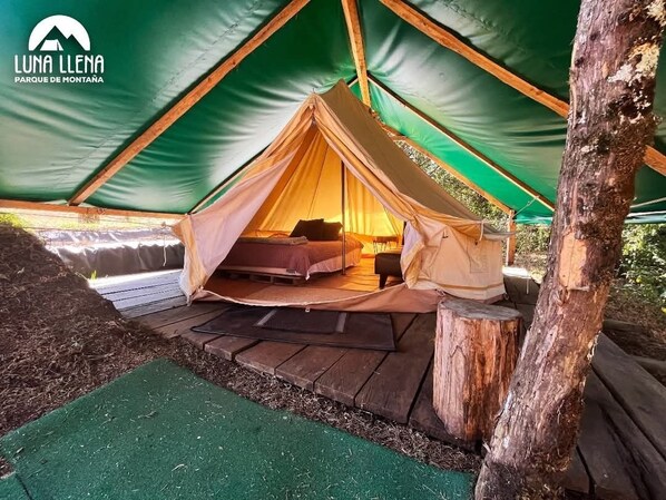 1 habitación, cubrecamas y ropa de cama 