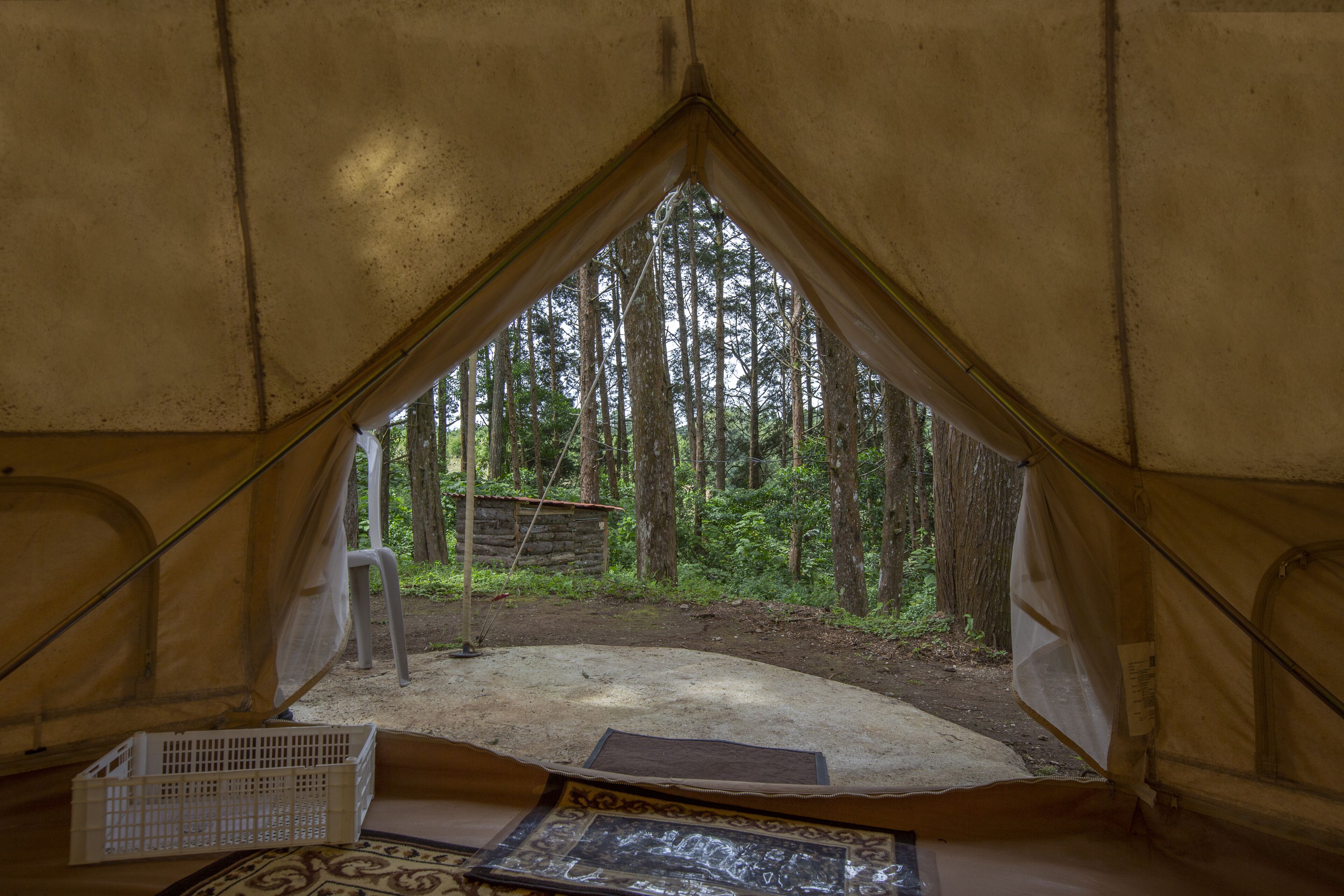 1 bedroom, down comforters, bed sheets