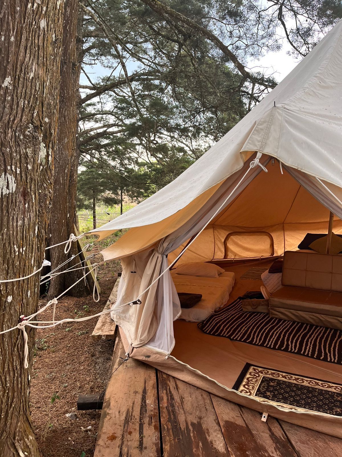 Tente Familiale, plusieurs lits | 1 chambre, couette en duvet d'oie, draps fournis