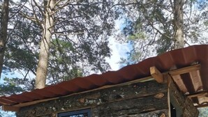 Tunnelmallinen hirsihökkelö, jossa on metallikatto, pieni ikkuna ja ovi.