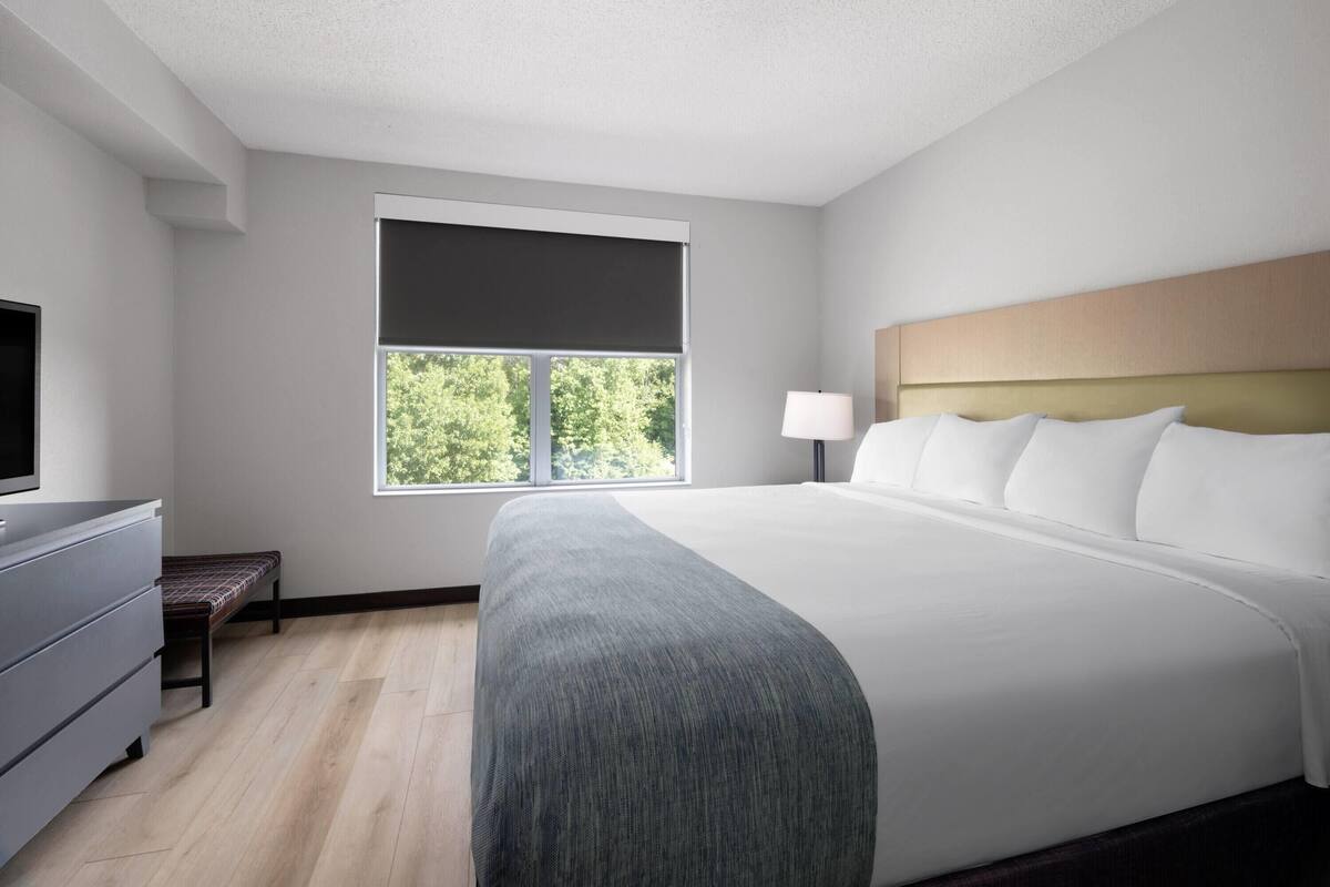 A hotel room with a large bed, a bedside table, a lamp, a TV, and a window with a view of trees.