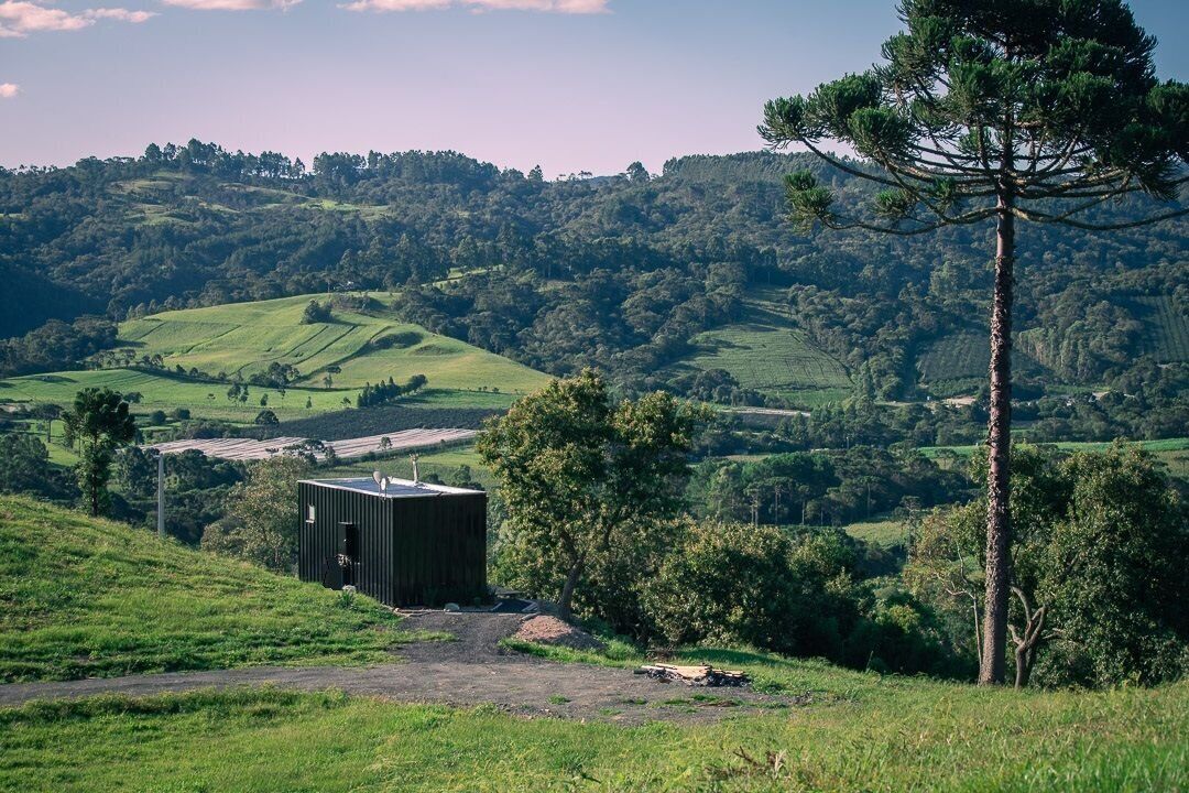A rural landscape with rolling hills, a solitary building, and a prominent pine tree.