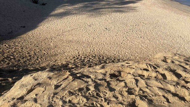 Strand