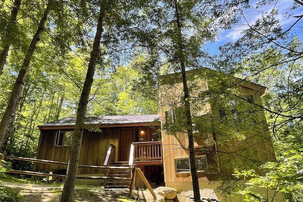 The Cabin Nestled in the Pines