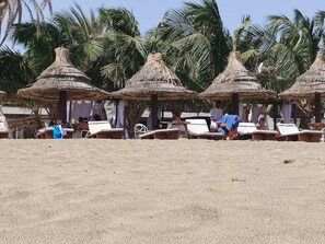 Sun-loungers - Praca Center 3 (PRAIA)