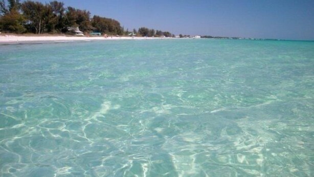A clear view of a beach with turquoise water, white sand, and a line of trees in the background.
