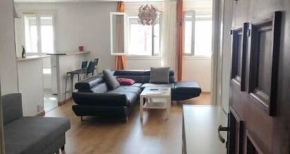 Charmante Appartement Ă Toulouse Ville