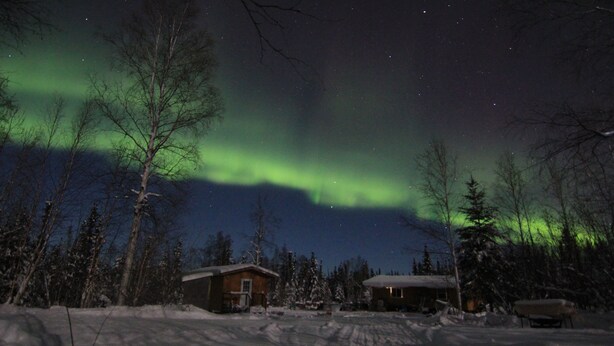 A snowy landscape with a house and trees. - Alaskan Adventure Dry Cabin #2 (Fairbanks)