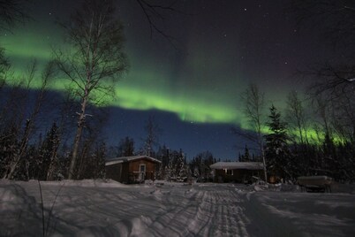 Alaskan Adventure Dry Cabin #2