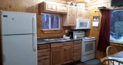 Alaskan Adventure Dry Cabin #2