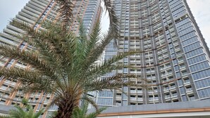 Ein Hochhaus mit gewölbter Fassade, mehreren Balkonen und einer Palme im Vordergrund.