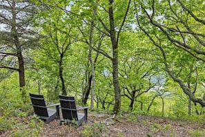Dos sillas Adirondack en un área boscosa con follaje verde exuberante.