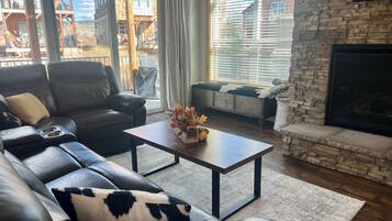 Smart TV, fireplace, books