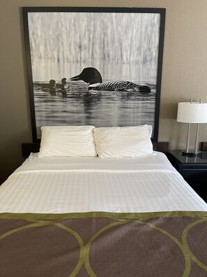 客房 | 1 多间卧室、熨斗/熨板、免费 WiFi