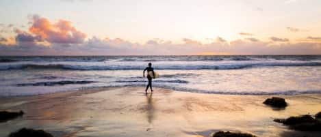 Strand