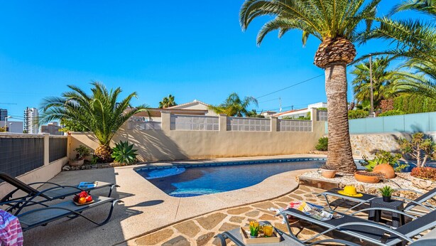Ein Garten mit Pool, Liegestühlen und Palmen.
