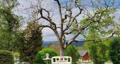 Apartment Lilie by Interhome