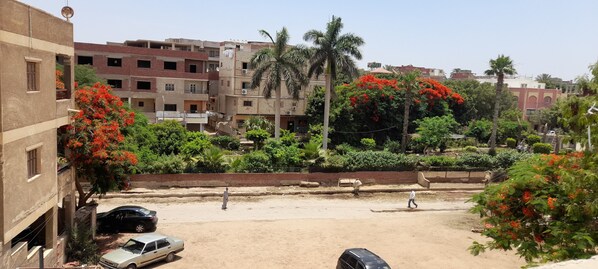 A residential area with multi-story buildings, a sandy street, and lush greenery including red flowering trees.