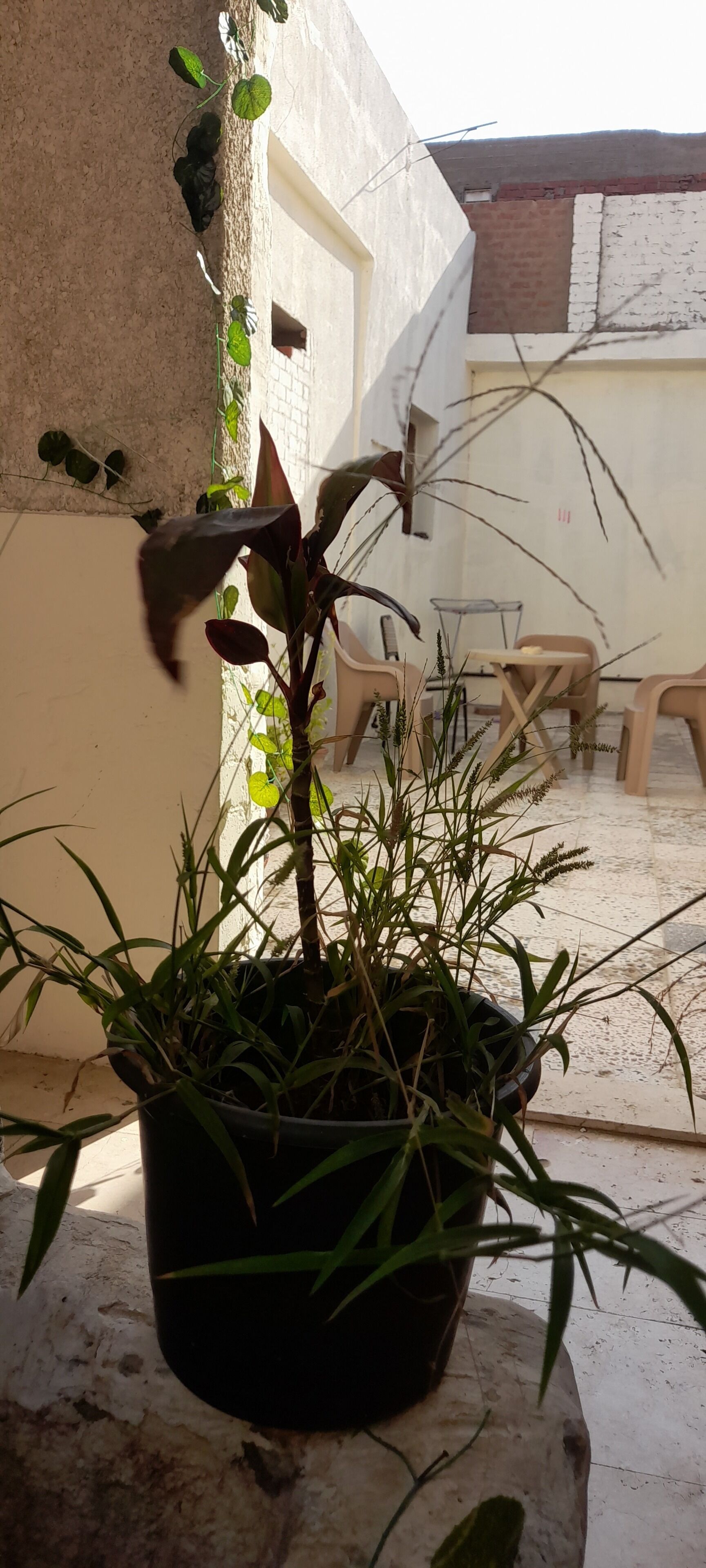 Foto - Rayan Pyramids View