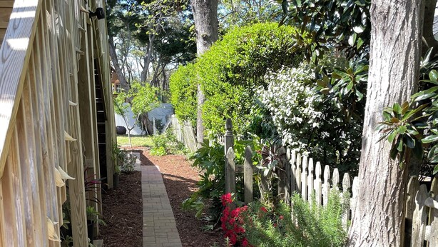 Un vialetto nel giardino con pacciamatura, una recinzione in legno e diverse piante.