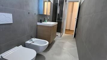 Hair dryer, bidet, towels, soap