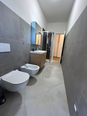 Assecador de cabells, bidet, tovalloles i sabó 