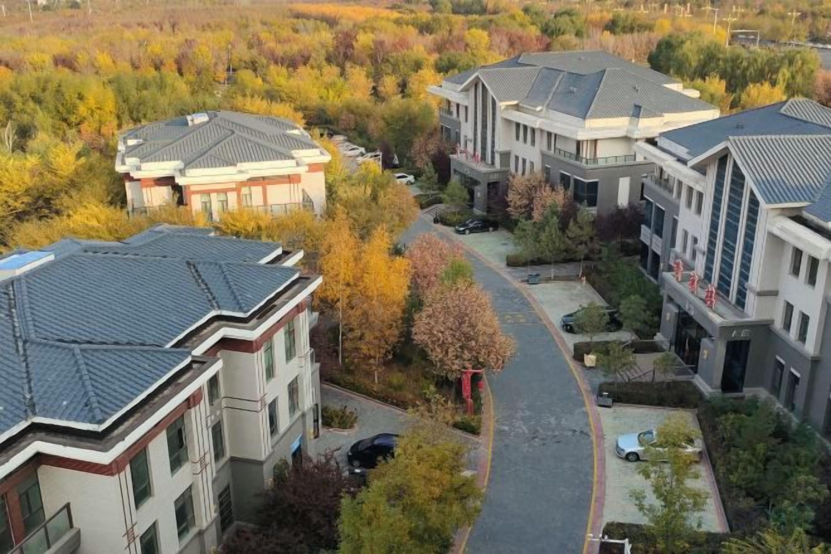 A residential area with modern buildings, a paved road, and autumn-colored trees.