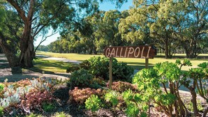 Ein Holzschild mit dem Schriftzug "GALLIPOLI" in einem Park mit Bäumen und einem Golfplatz im Hintergrund.