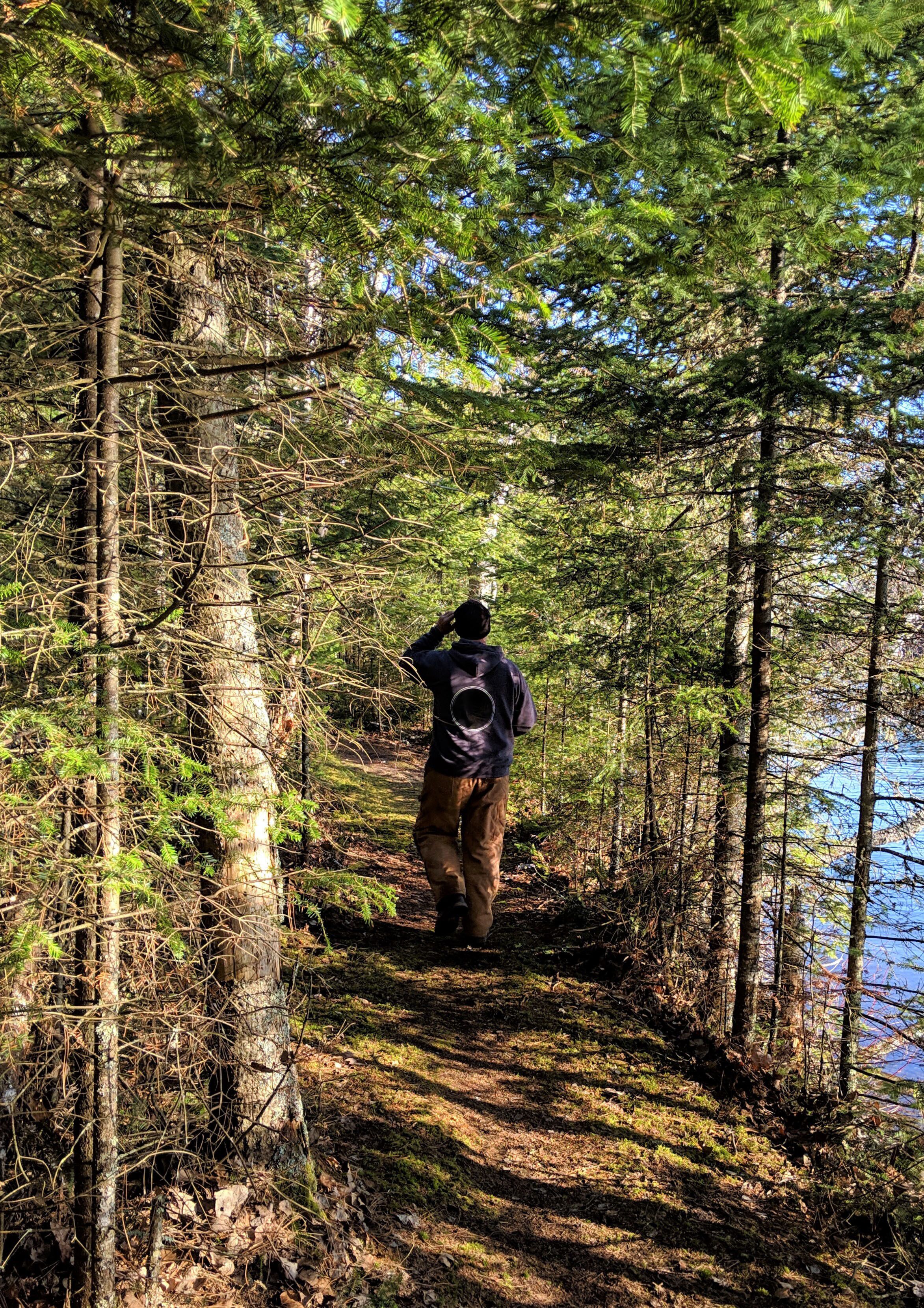 Un sentier bordé d’arbres, sur lequel on voit une personne s’éloigner de la caméra.