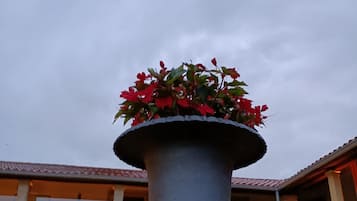 Fachada del alojamiento