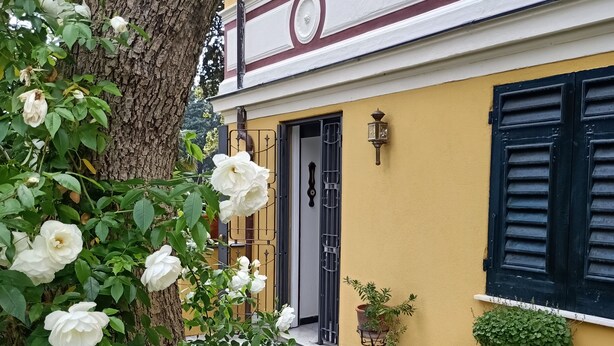 Un bâtiment jaune avec un arbre au premier plan.