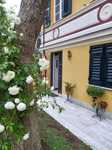 Immerse yourself in the magic of Nervi