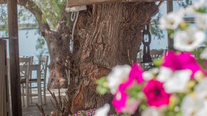 A wooden sign with Greek text, a tree, and a planter with flowers. - Seafront Apartment Grace (Kalamata)