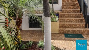 Un edificio blanco con una puerta roja, una escalera con suelo estampado y una palmera en primer plano.