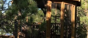 Tiny Off-Grid Cozy Cabin #3 on Secluded Lake