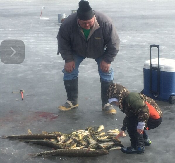 Une personne manipulant un grand nombre de poissons sur une surface gelée.