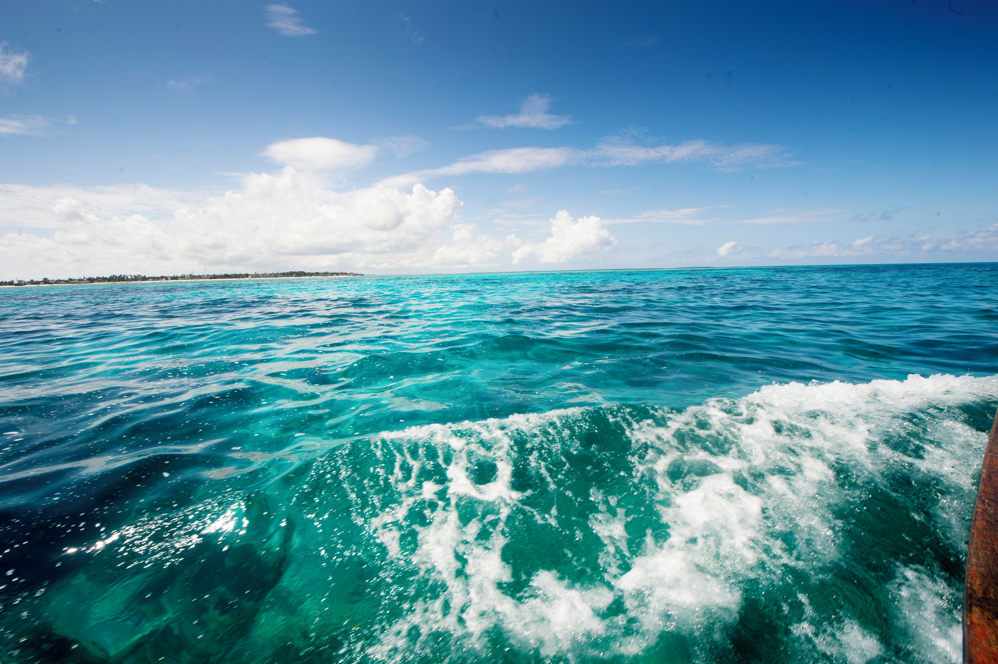 A view of the ocean with waves and a distant shoreline.