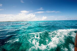 A view of the ocean with waves and a distant shoreline.