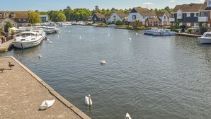 Een gracht met boten en zwanen, omringd door woonhuizen.
