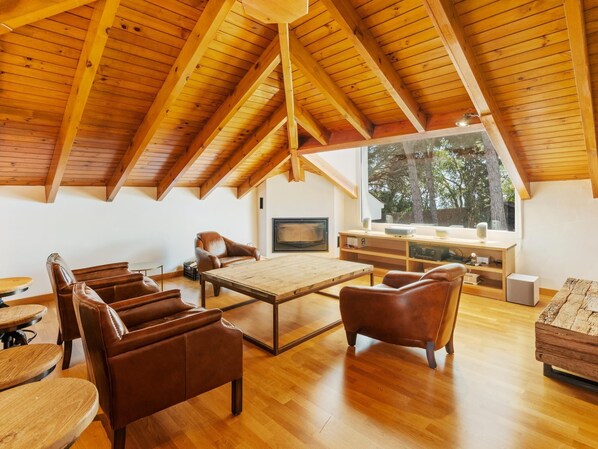 TV, fireplace, stereo