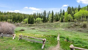 Un paysage naturel avec un sentier de terre, une clôture en bois et une forêt dense.
