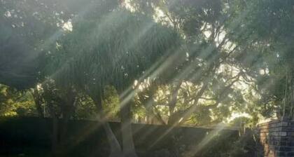 Spacious and Peaceful home, Summerstrand,Gqeberha