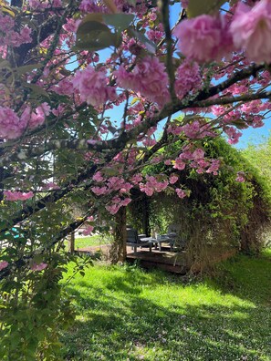 Property grounds - La Colline de Tilleul - beautiful cottage near Aubeterre with pool 4 Star Rated! (Saint-Romain)