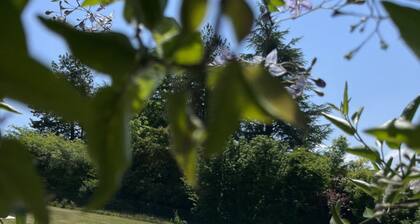 La Colline de Tilleul - beautiful cottage near Aubeterre with pool 4 Star Rated!